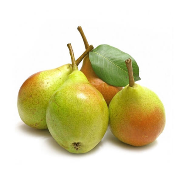 o10 o10